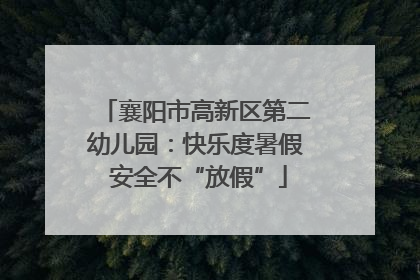 襄阳市高新区第二幼儿园：快乐度暑假 安全不“放假”